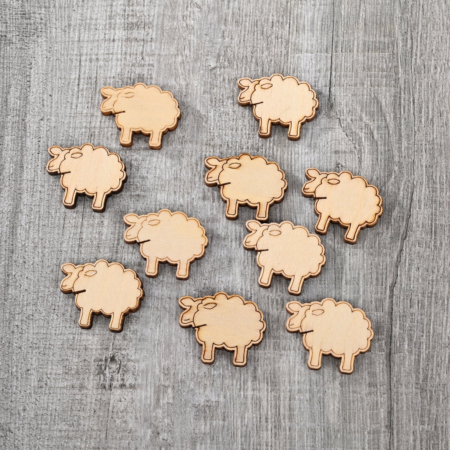 Tail Minders Sheep (10)